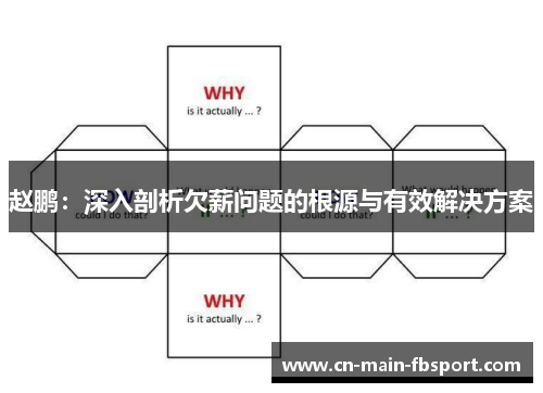 赵鹏：深入剖析欠薪问题的根源与有效解决方案