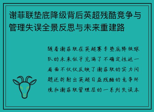 谢菲联垫底降级背后英超残酷竞争与管理失误全景反思与未来重建路
